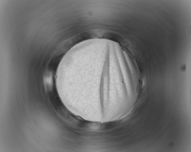 X0000111790094200908131423