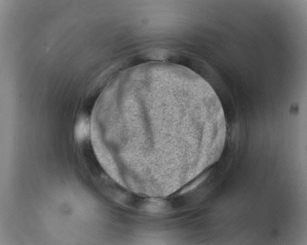 X0000111790095200908131423