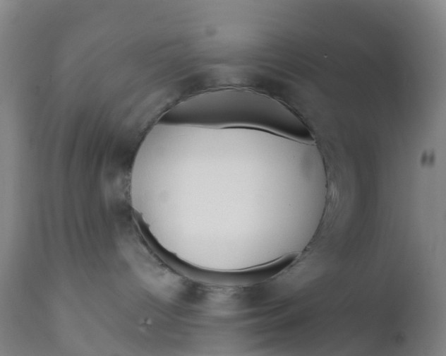 X0000111790096200908131423