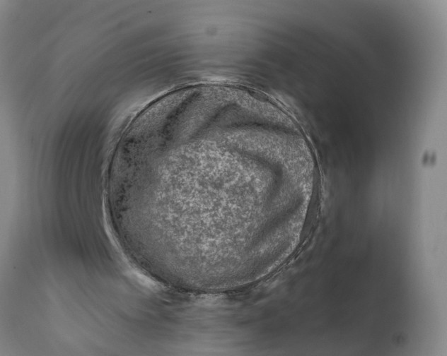 X0000111790097200908131422