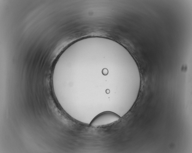 X0000111790098200908131422