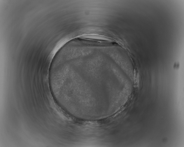 X0000111790099200908131422