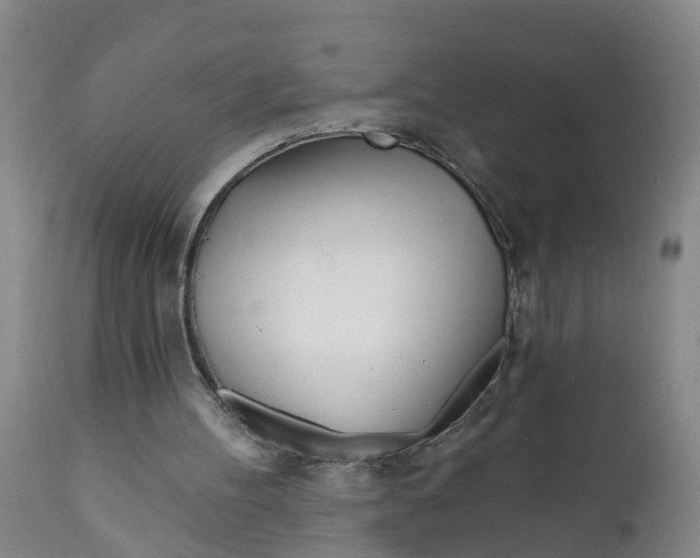 X0000111790100200908131422