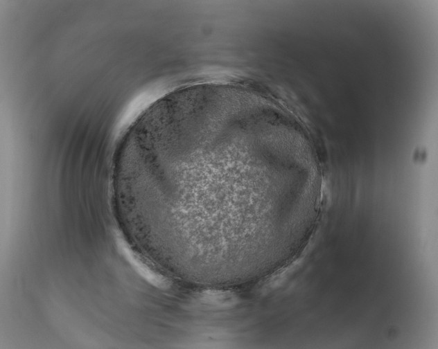 X0000111790101200908131422