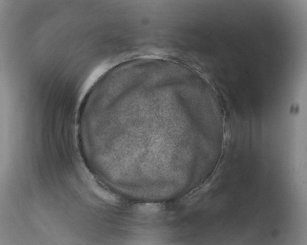 X0000111790102200908131422