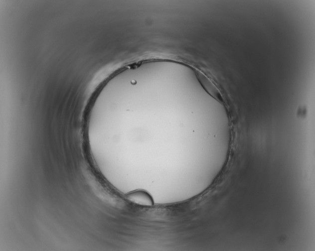 X0000111790104200908131422