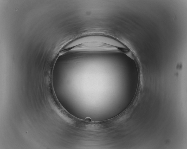 X0000111790105200908131422