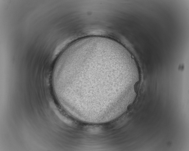 X0000111790106200908131422