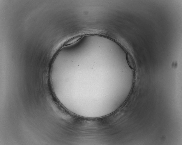 X0000111790107200908131422