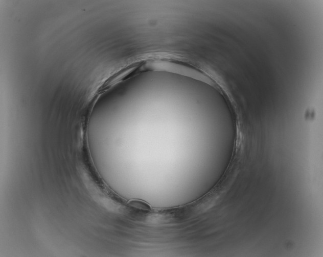 X0000111790109200908131422