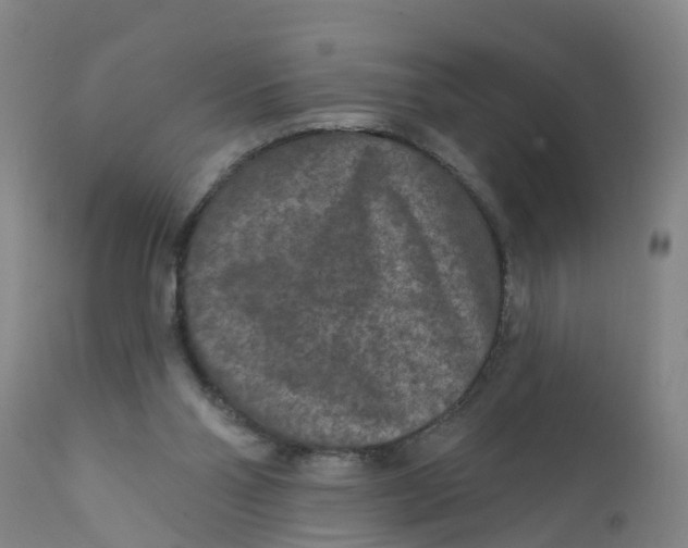 X0000111790110200908131422