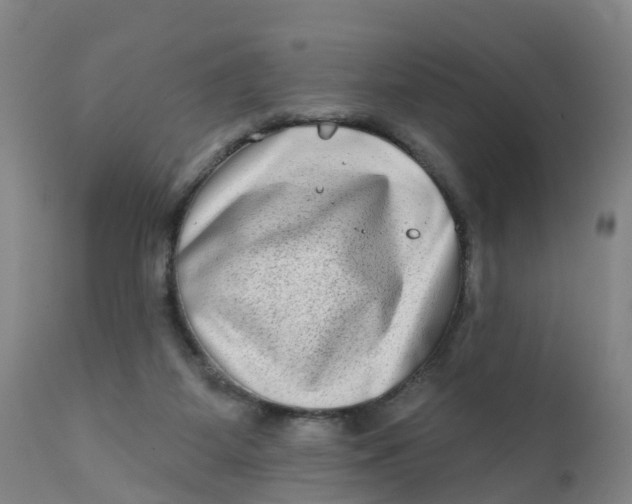 X0000111790115200908131422