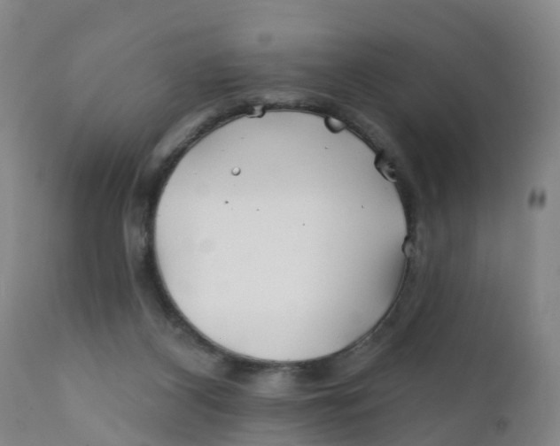 X0000111790116200908131422