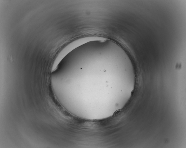 X0000111790117200908131422