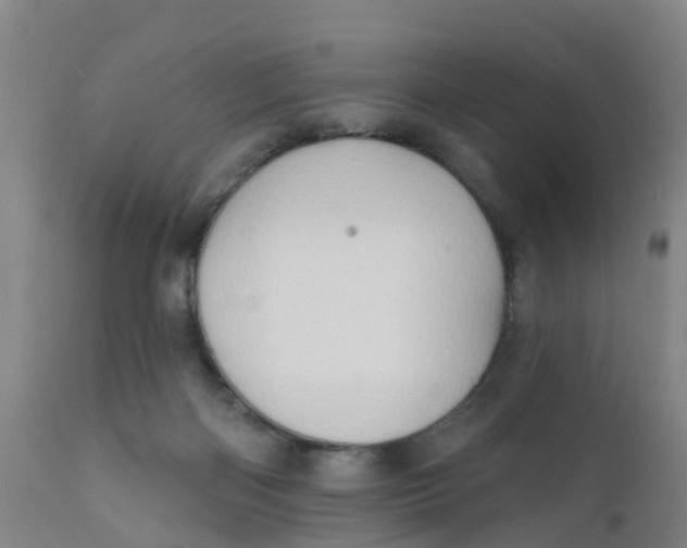 X0000111790122200908131421