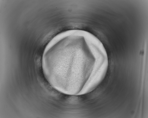 X0000111790123200908131421