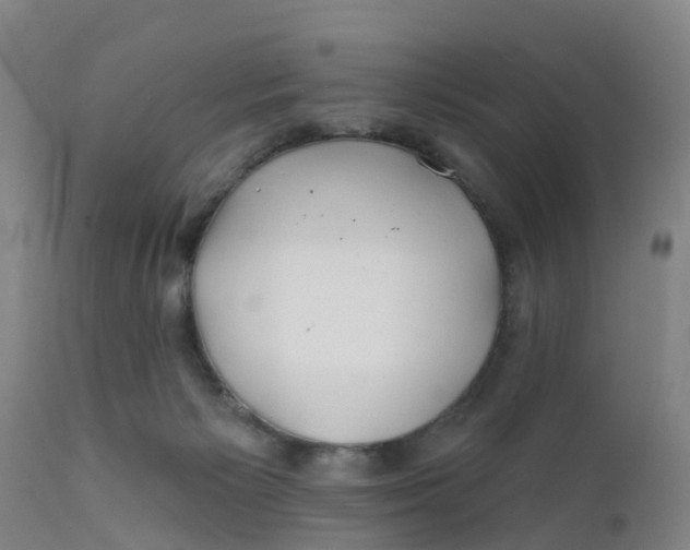 X0000111790125200908131421