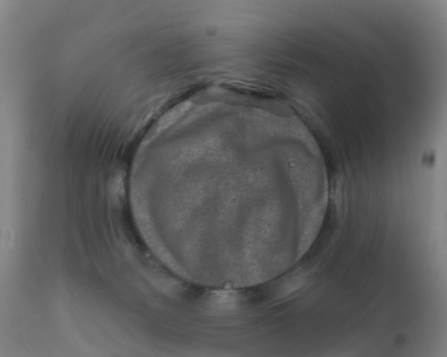 X0000111790127200908131421