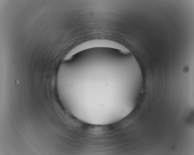 X0000111790129200908131421