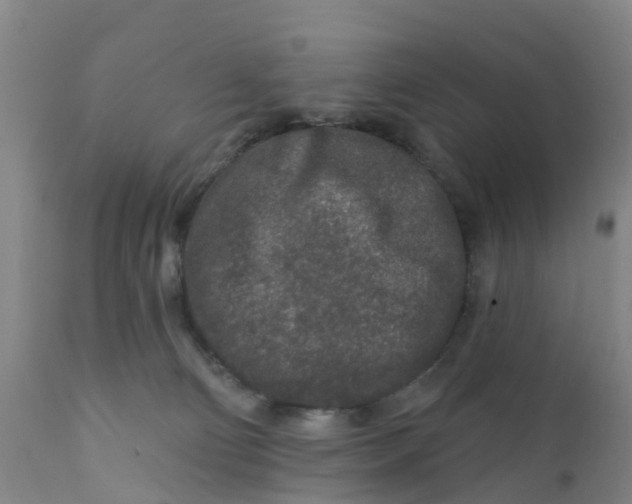 X0000111790130200908131421