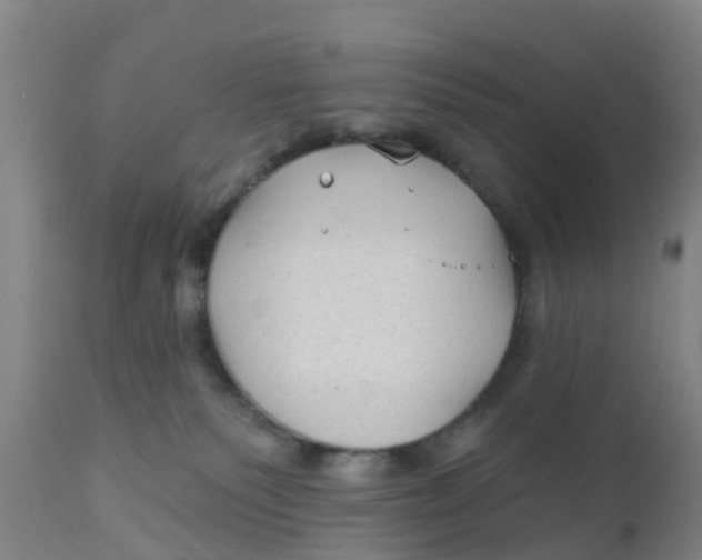 X0000111790135200908131421