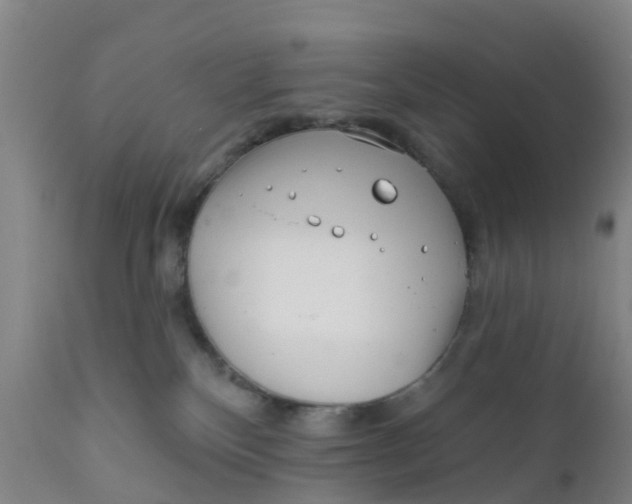 X0000111790136200908131421