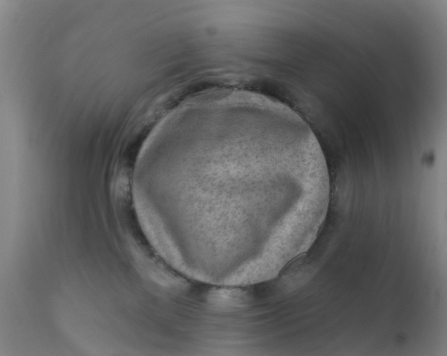 X0000111790137200908131421