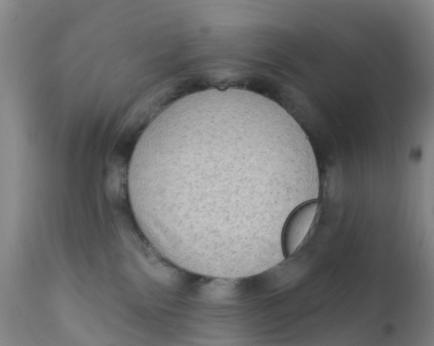 X0000111790138200908131421