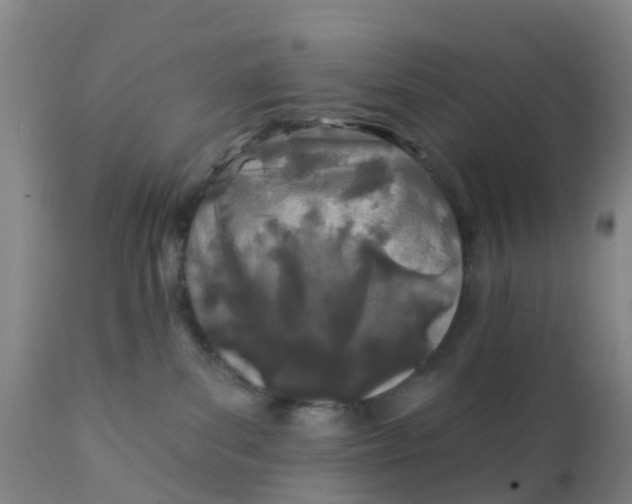 X0000111790139200908131421