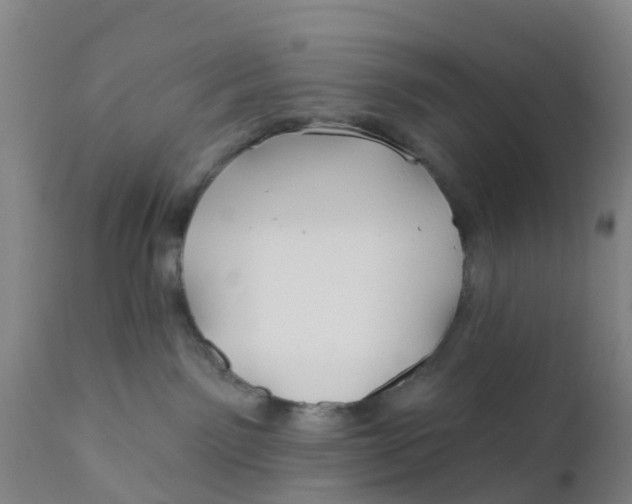 X0000111790141200908131421