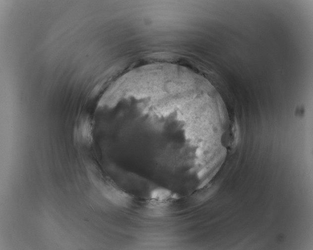 X0000111790143200908131421