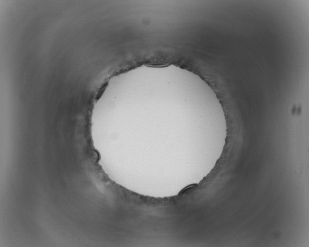 X0000111790144200908131421