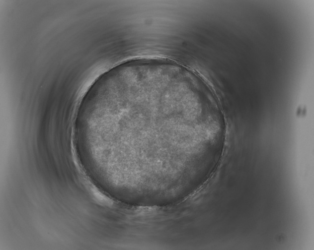 X0000111790145200908131420