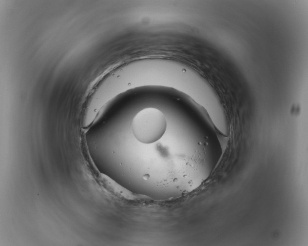 X0000111790146200908131420