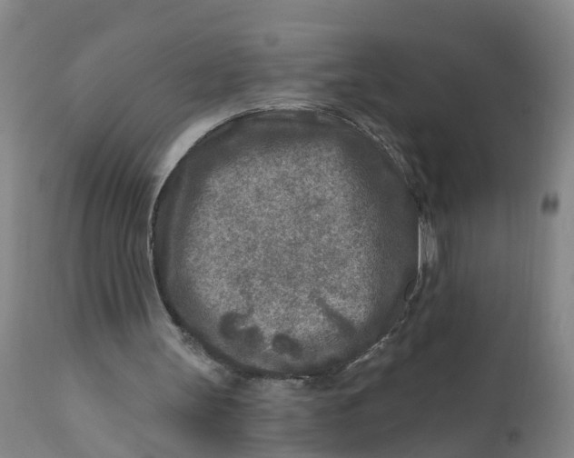 X0000111790147200908131421