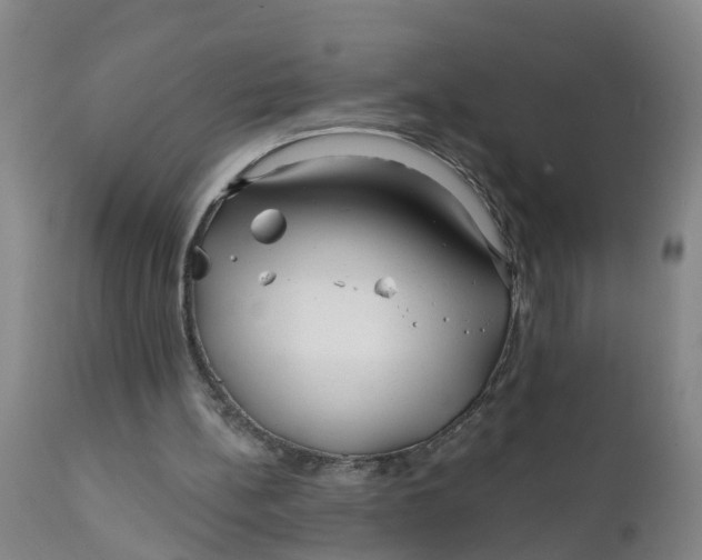 X0000111790148200908131421