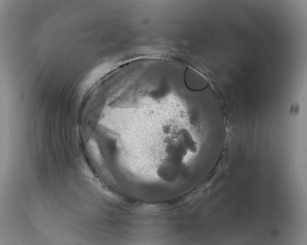 X0000111790149200908131421