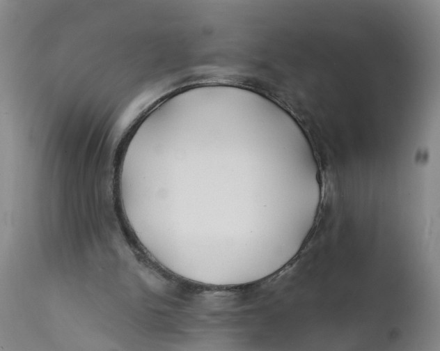 X0000111790150200908131421