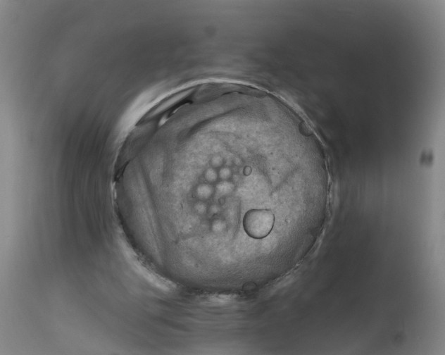 X0000111790151200908131421