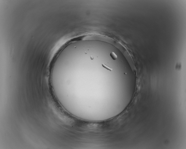 X0000111790152200908131421