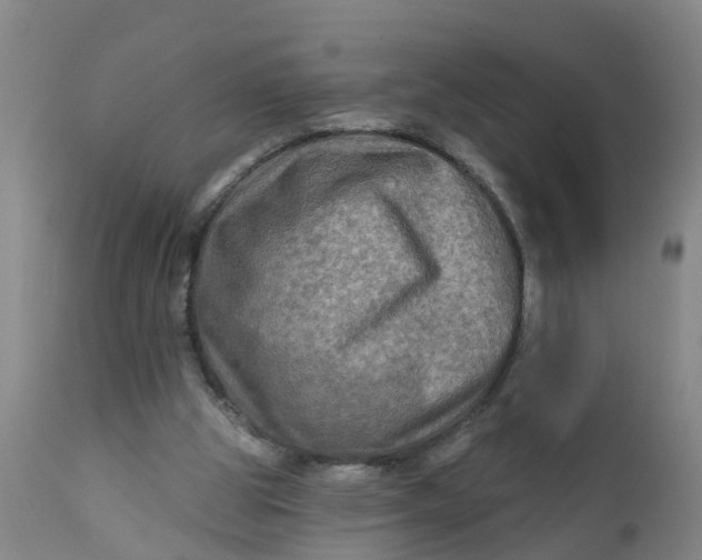 X0000111790153200908131421