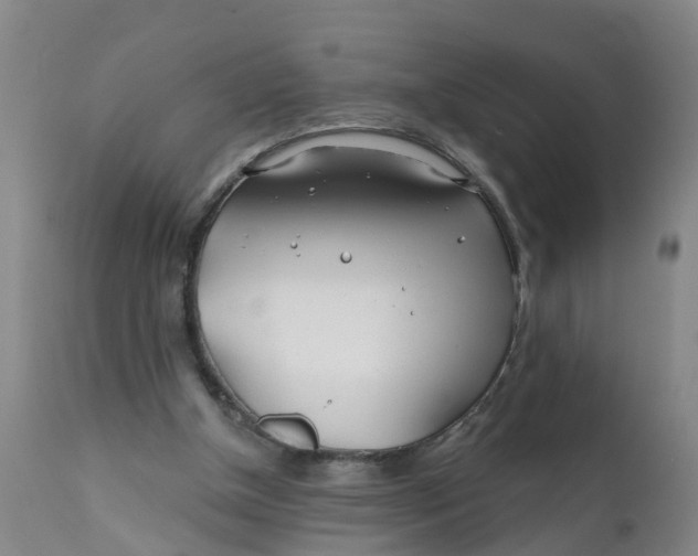 X0000111790154200908131421