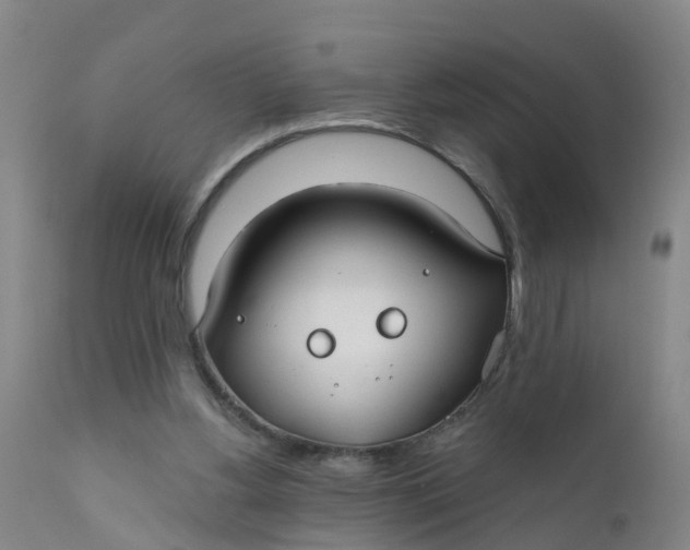 X0000111790156200908131421