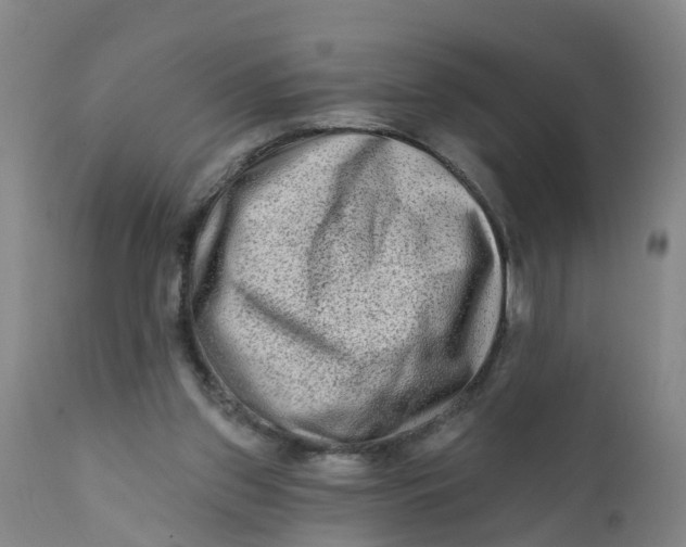 X0000111790157200908131421