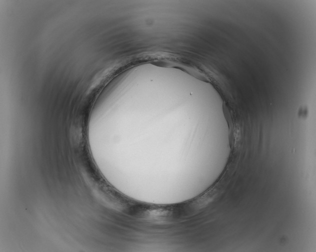 X0000111790158200908131421