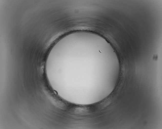 X0000111790160200908131421