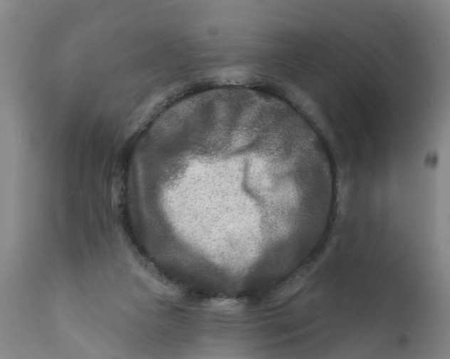 X0000111790161200908131421