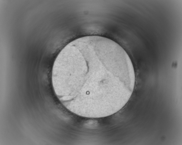 X0000111790162200908131421