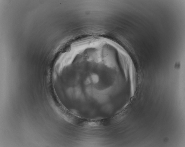 X0000111790163200908131421