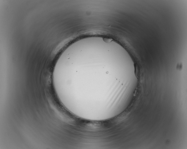 X0000111790164200908131421